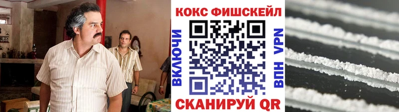 COCAIN FishScale  Купить закладки  Нелидово 