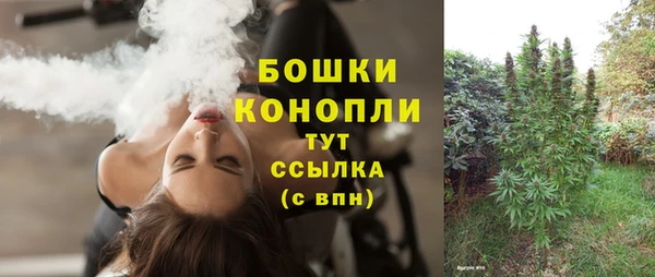 молекула духа Лихославль