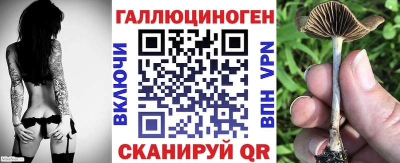 Псилоцибиновые грибы MAGIC MUSHROOMS  Купить закладки  Нелидово 
